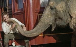 robert_pattinson_rosie_water_for_elephants2