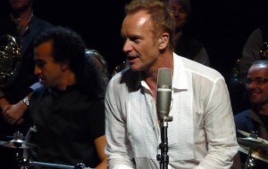 sting2 (2)