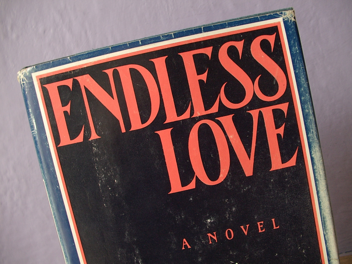 4. "Endless Love" (novel) by Scott Spencer - wide 1