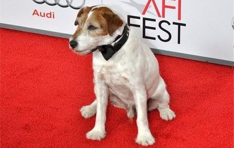 “The Artist” Winners Joke: “Uggie” Doesn’t Even Know Us Now