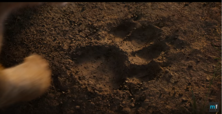 See the Trailer for “Live Action” and Computer Generated “Lion King” with Voices from Stars James Earl Jones, Beyonce, Donald Glover