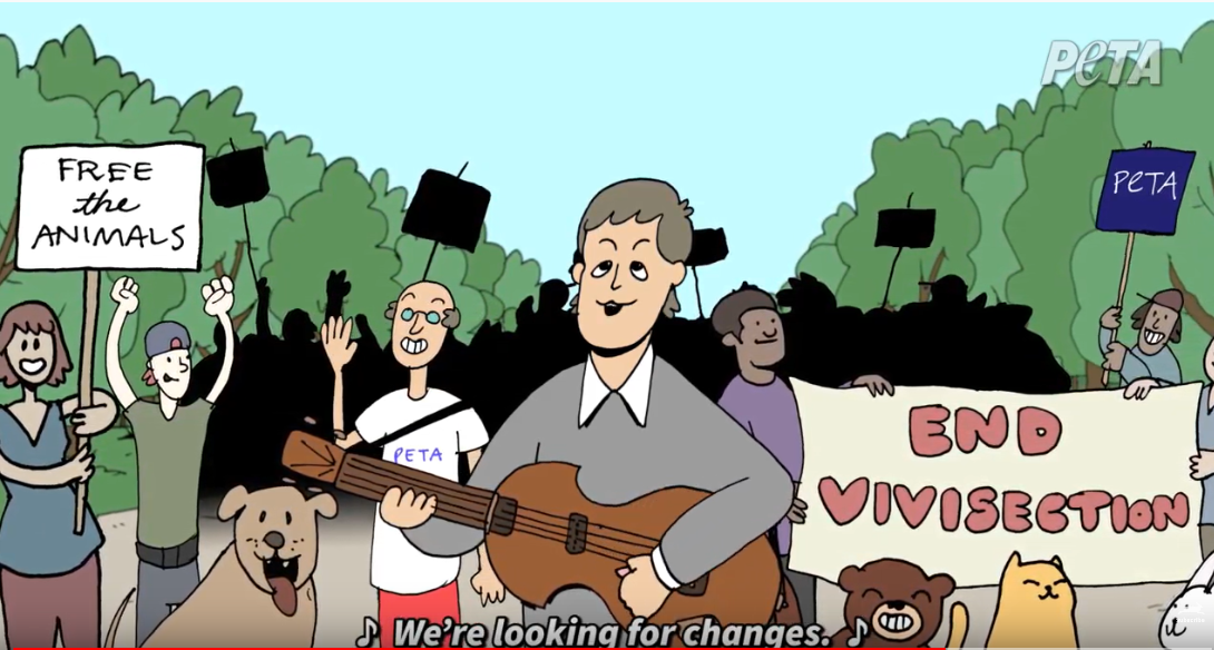 Paul McCartney “Looking for Changes,” Issues Animated Video for 1993  Protest Song Against Animal Testing, for PETA | Showbiz411