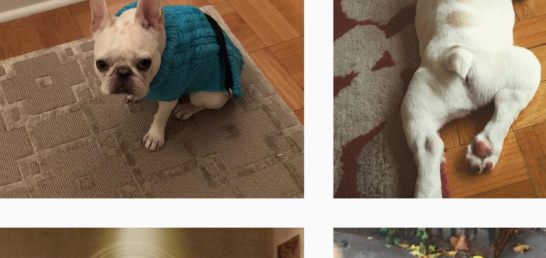 John Mulaney Sells Out 9 Shows in Three Hours But Don’t Worry More Will Be Scheduled