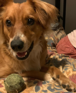 New UPDATE: Winnie Has Been Found: Clementine Ford, Daughter of Cybill