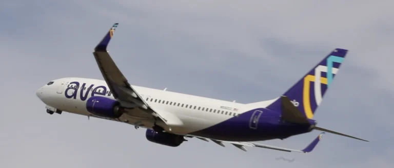 New Haven Discount Airline Needs Flight Attendant for Deportation Trips Both Domestic and Foreign: Snacks Optional